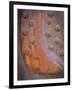 Rusted Rivets-Don Paulson-Framed Giclee Print