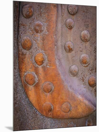 Rusted Rivets-Don Paulson-Mounted Giclee Print