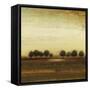 Rusted Treeline-Lisa Ridgers-Framed Stretched Canvas