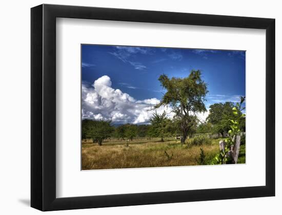 Rustic Afternoon Field-Nish Nalbandian-Framed Art Print