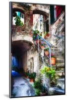 Rustic Alley In Corniglia, Cinque Terre, Italy-George Oze-Mounted Photographic Print