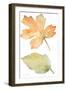 Rustic Autumn Leaves III-Lanie Loreth-Framed Art Print