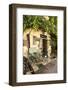 rustic bar in the Provence-Andrea Haase-Framed Photographic Print