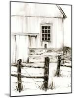 Rustic Barbed Wire II-Ethan Harper-Mounted Art Print