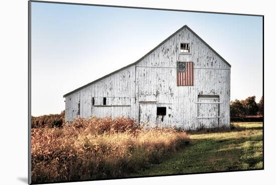 Rustic Barn-Michael Iacobellis-Mounted Art Print