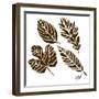 Rustic Birch Trail Accent I-Gina Ritter-Framed Art Print