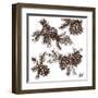 Rustic Birch Trail Accent II-Gina Ritter-Framed Art Print