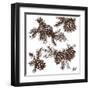 Rustic Birch Trail Accent II-Gina Ritter-Framed Art Print