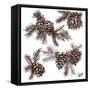 Rustic Birch Trail Accent II-Gina Ritter-Framed Stretched Canvas