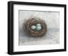 Rustic Bird Nest I-Ethan Harper-Framed Art Print