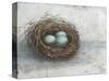 Rustic Bird Nest I-Ethan Harper-Stretched Canvas