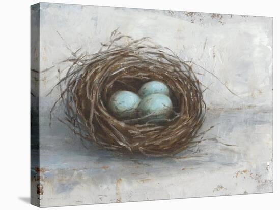 Rustic Bird Nest I-Ethan Harper-Stretched Canvas