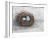 Rustic Bird Nest I-Ethan Harper-Framed Art Print