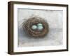 Rustic Bird Nest I-Ethan Harper-Framed Art Print