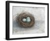 Rustic Bird Nest I-Ethan Harper-Framed Art Print