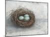 Rustic Bird Nest I-Ethan Harper-Mounted Art Print