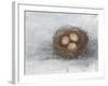 Rustic Bird Nest II-Ethan Harper-Framed Art Print