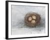 Rustic Bird Nest II-Ethan Harper-Framed Art Print