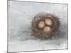 Rustic Bird Nest II-Ethan Harper-Mounted Art Print