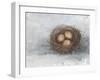 Rustic Bird Nest II-Ethan Harper-Framed Art Print