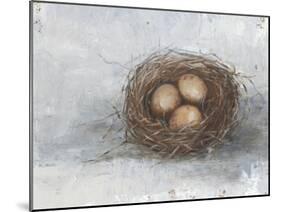Rustic Bird Nest II-Ethan Harper-Mounted Art Print