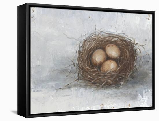 Rustic Bird Nest II-Ethan Harper-Framed Stretched Canvas