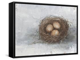 Rustic Bird Nest II-Ethan Harper-Framed Stretched Canvas