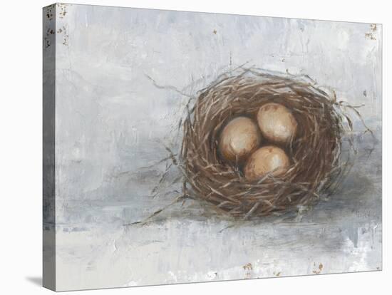 Rustic Bird Nest II-Ethan Harper-Stretched Canvas