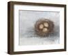 Rustic Bird Nest II-Ethan Harper-Framed Art Print