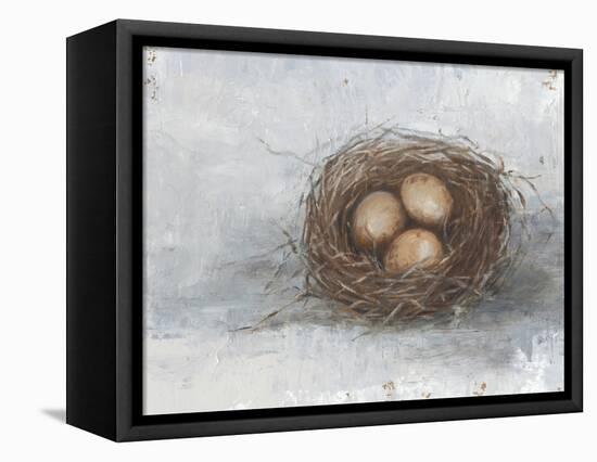 Rustic Bird Nest II-Ethan Harper-Framed Stretched Canvas