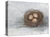 Rustic Bird Nest II-Ethan Harper-Stretched Canvas