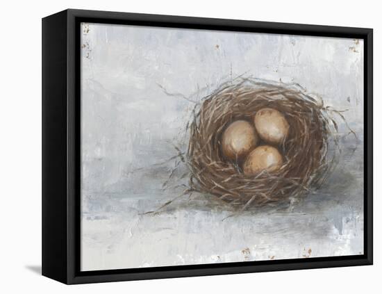 Rustic Bird Nest II-Ethan Harper-Framed Stretched Canvas