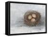 Rustic Bird Nest II-Ethan Harper-Framed Stretched Canvas