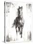 Rustic Black Stallion I-null-Stretched Canvas