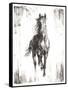 Rustic Black Stallion I-null-Framed Stretched Canvas