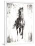 Rustic Black Stallion I-null-Framed Premium Giclee Print