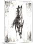 Rustic Black Stallion I-null-Mounted Premium Giclee Print