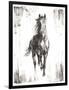 Rustic Black Stallion I-null-Framed Premium Giclee Print