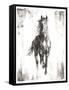 Rustic Black Stallion I-null-Framed Stretched Canvas