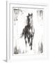 Rustic Black Stallion I-null-Framed Art Print