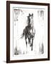 Rustic Black Stallion I-null-Framed Art Print