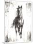 Rustic Black Stallion I-null-Mounted Art Print