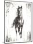 Rustic Black Stallion I-null-Mounted Art Print