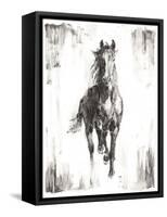 Rustic Black Stallion I-null-Framed Stretched Canvas