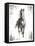 Rustic Black Stallion I-null-Framed Stretched Canvas