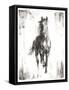 Rustic Black Stallion I-null-Framed Stretched Canvas