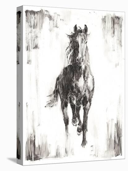 Rustic Black Stallion I-null-Stretched Canvas