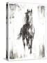 Rustic Black Stallion I-null-Stretched Canvas