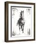 Rustic Black Stallion I-null-Framed Art Print