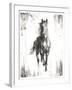 Rustic Black Stallion I-null-Framed Art Print